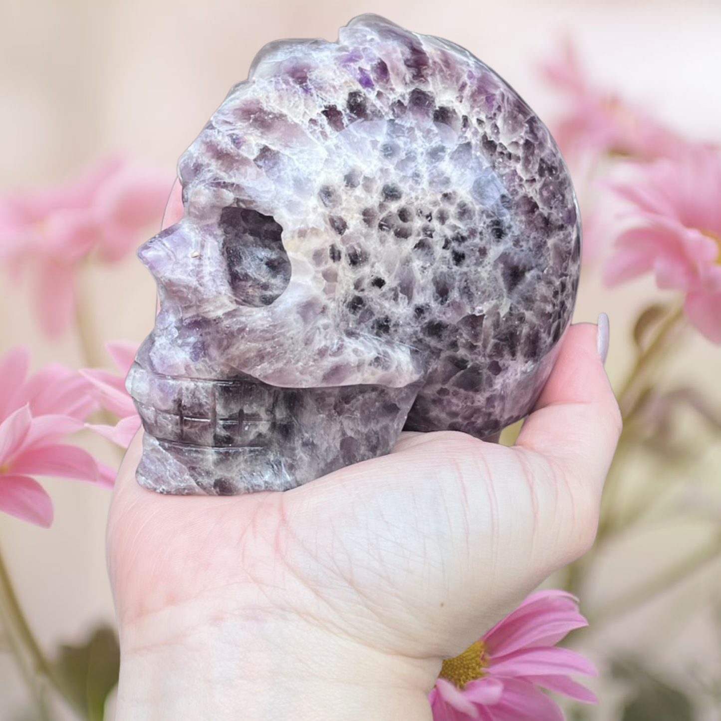 Dream amethyst skull