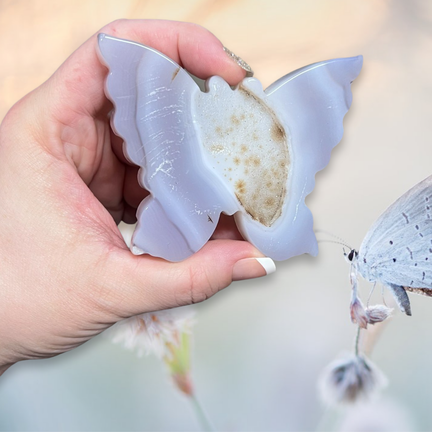 Agate carved butterfly