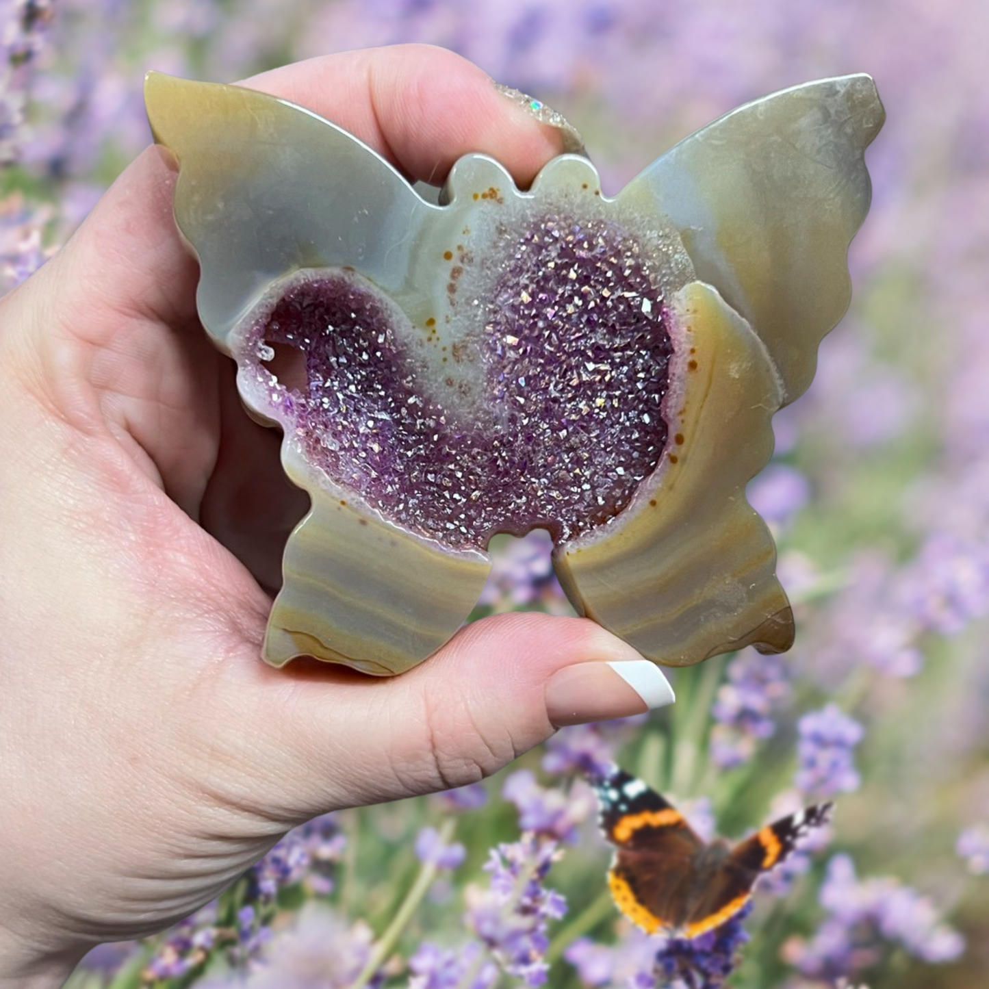 Agate carved butterfly