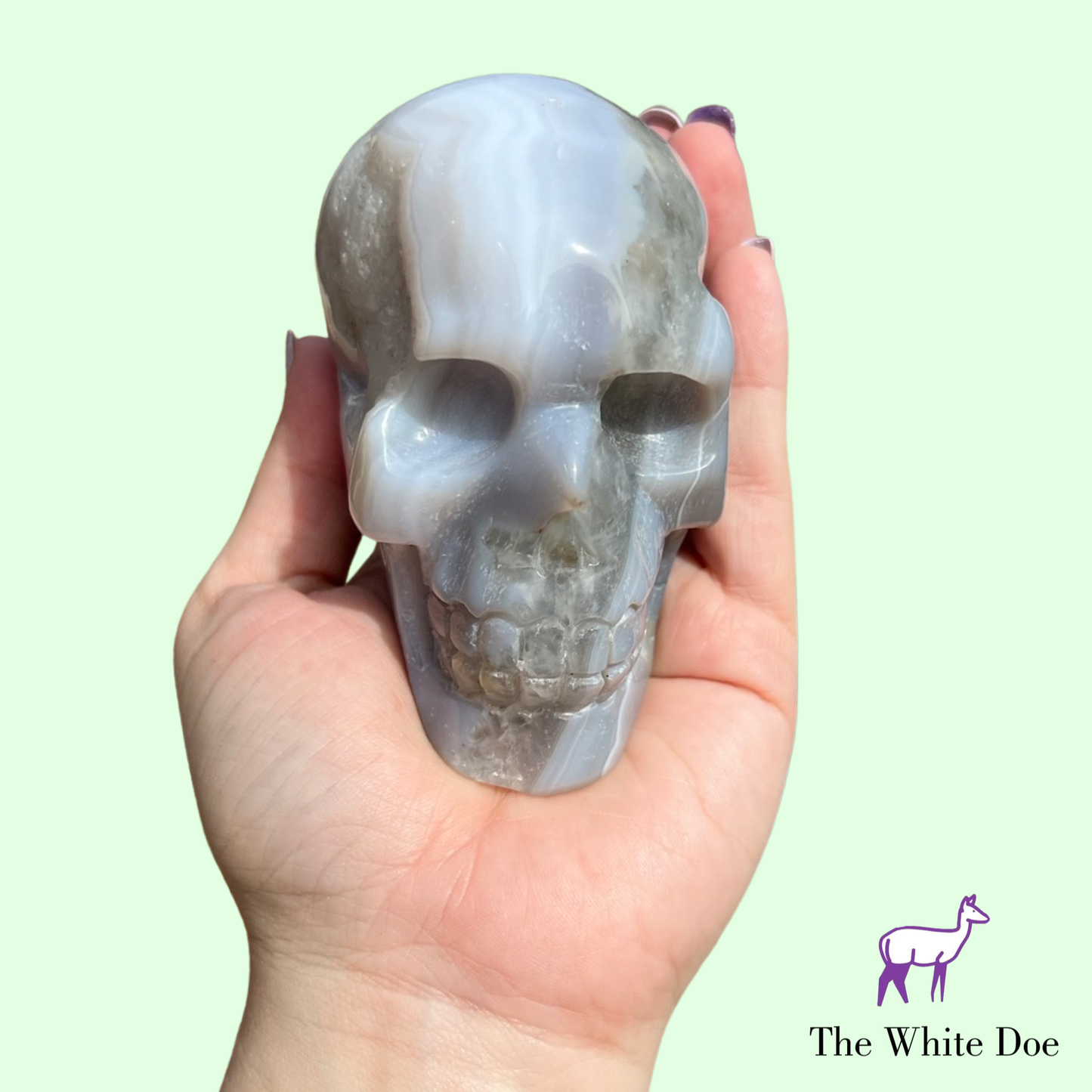 Druzy Agate Skull (b)