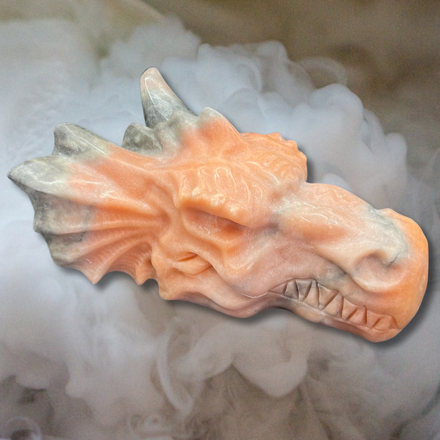 Sunstone Dragon Heads