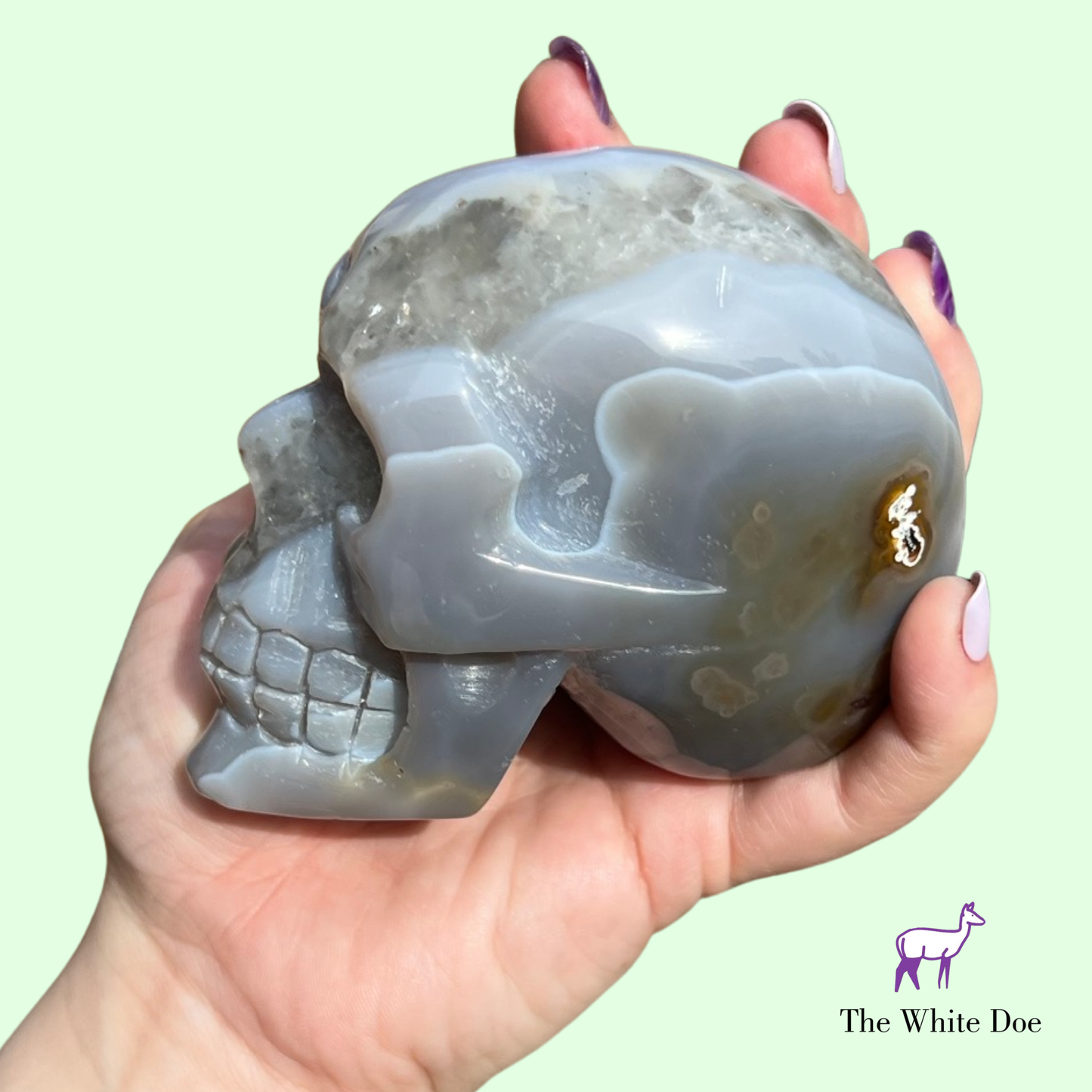 Druzy Agate Skull (b)