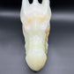 Afghanistan Jade Large Dragon heads