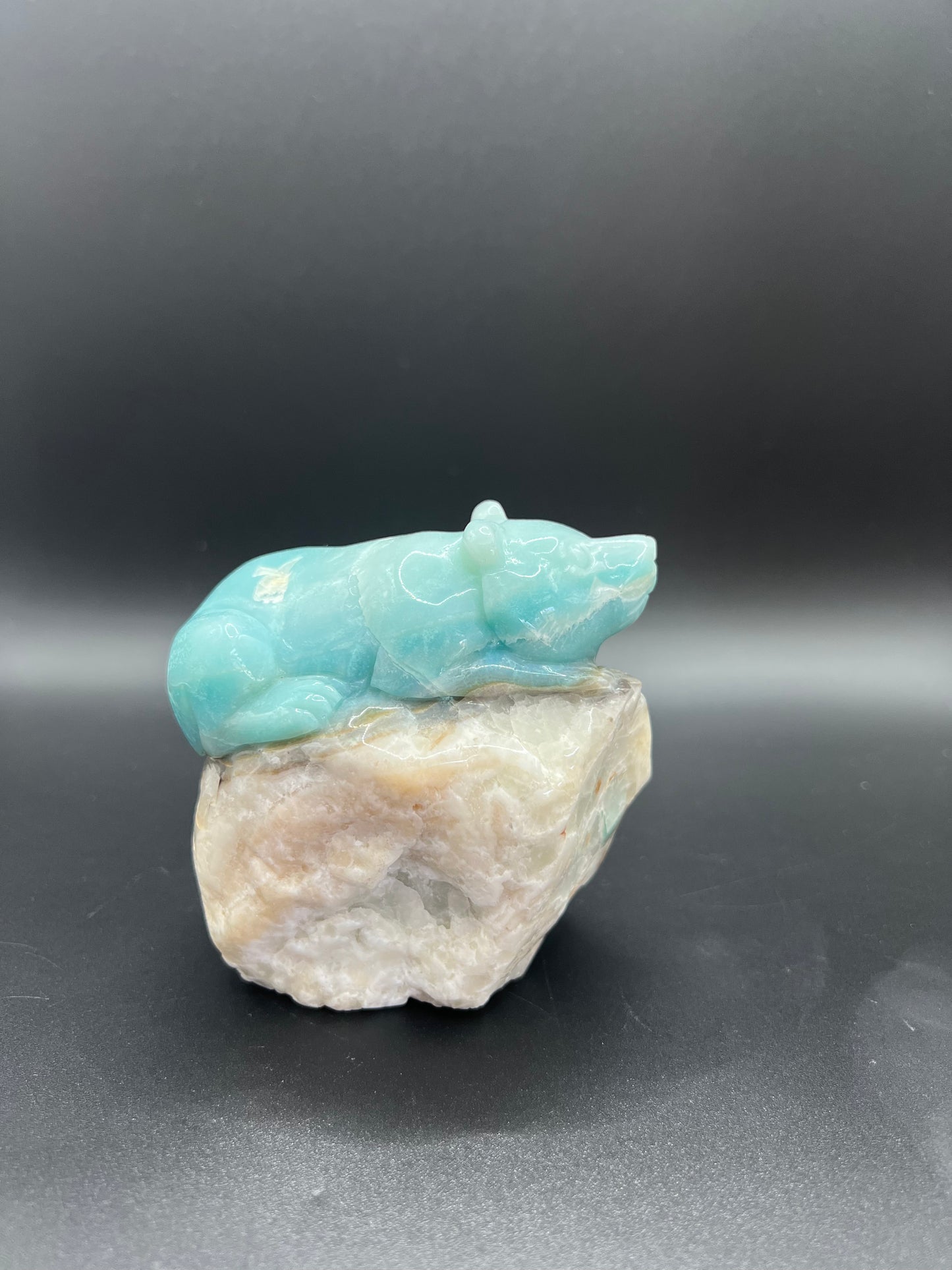 Caribbean Calcite Bear