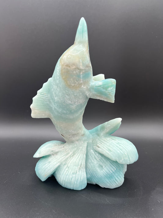 Caribbean Calcite Dolphin