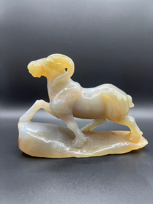 Agate Ram