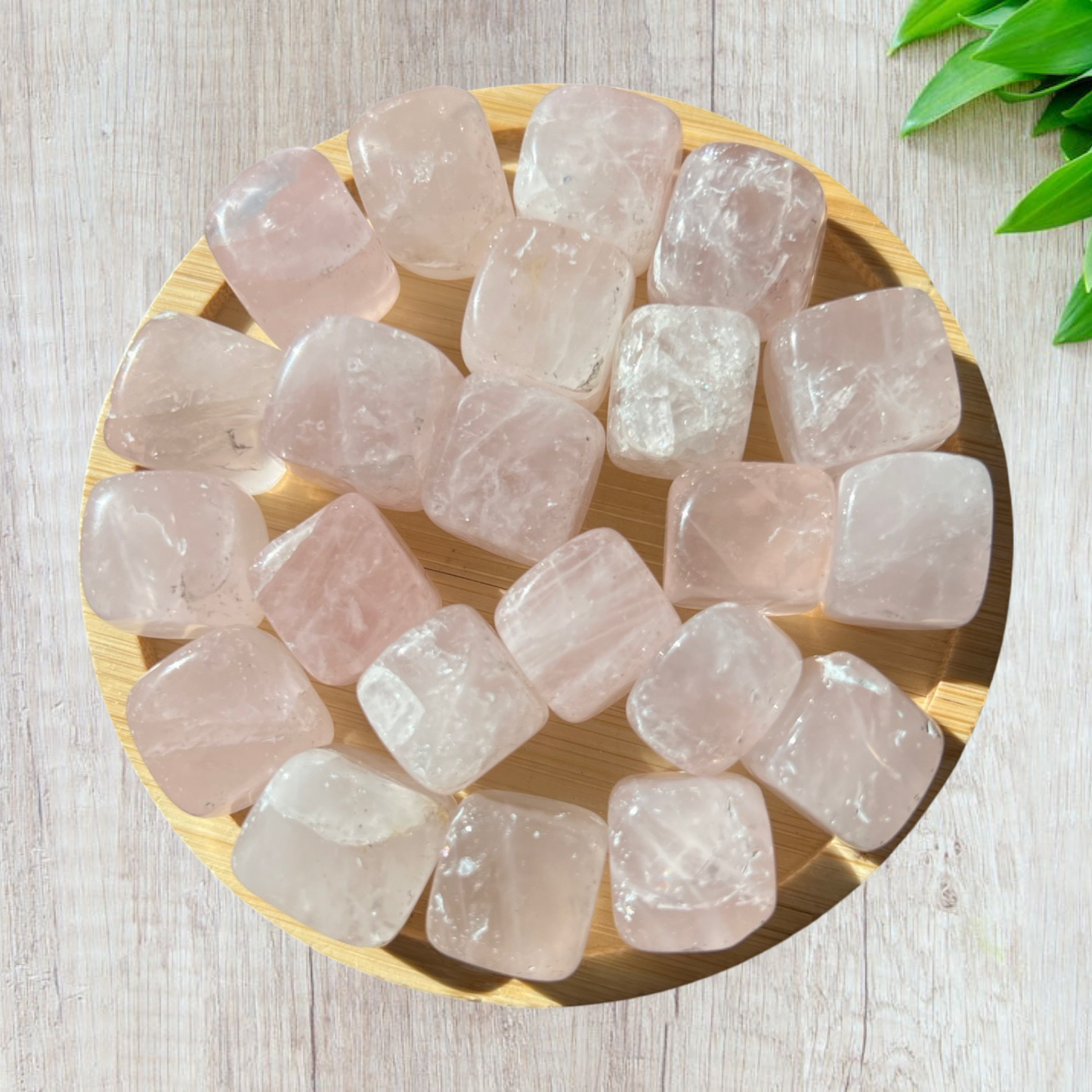 Rose Quartz mini cube tumbles