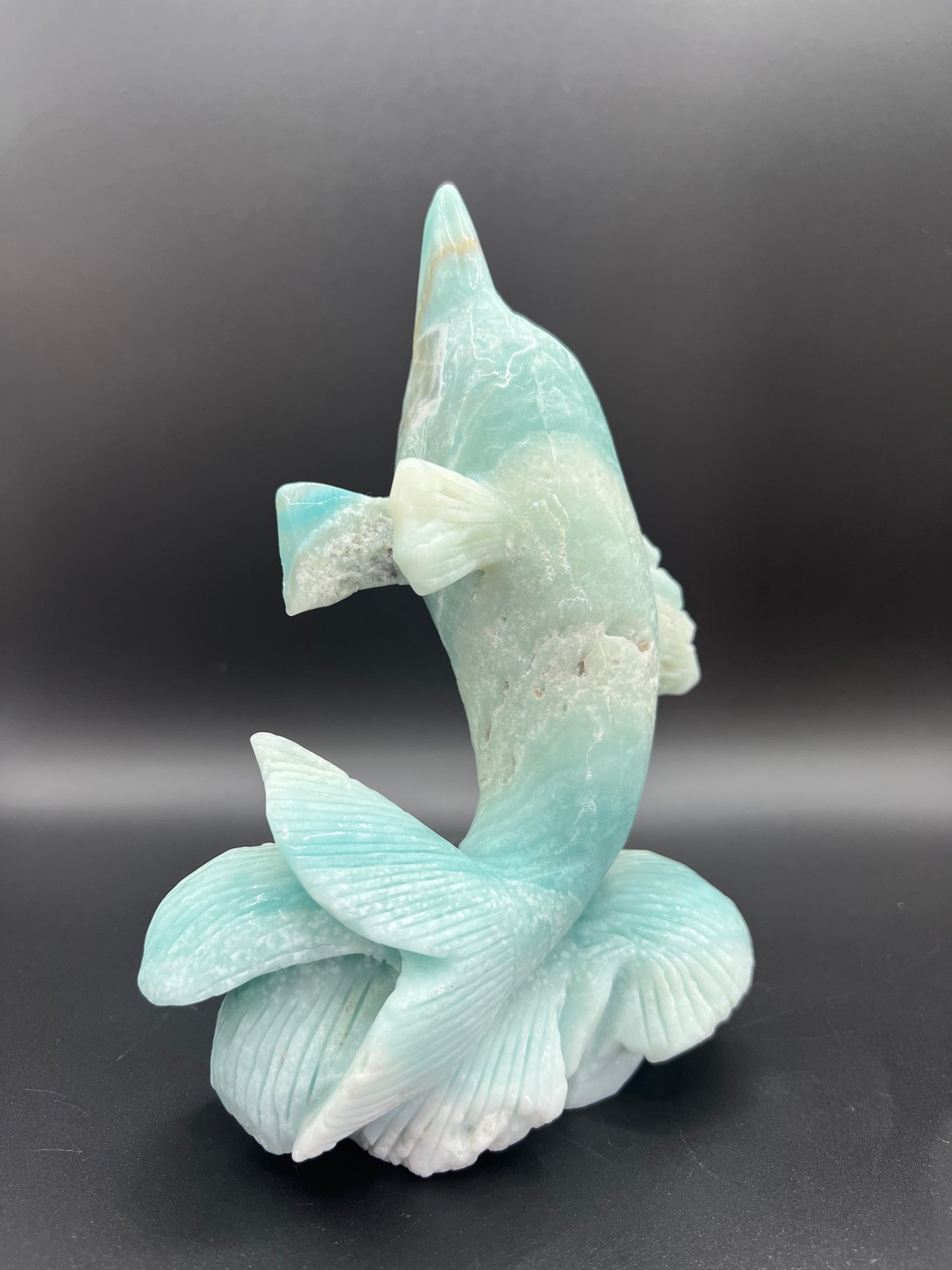 Caribbean Calcite Dolphin