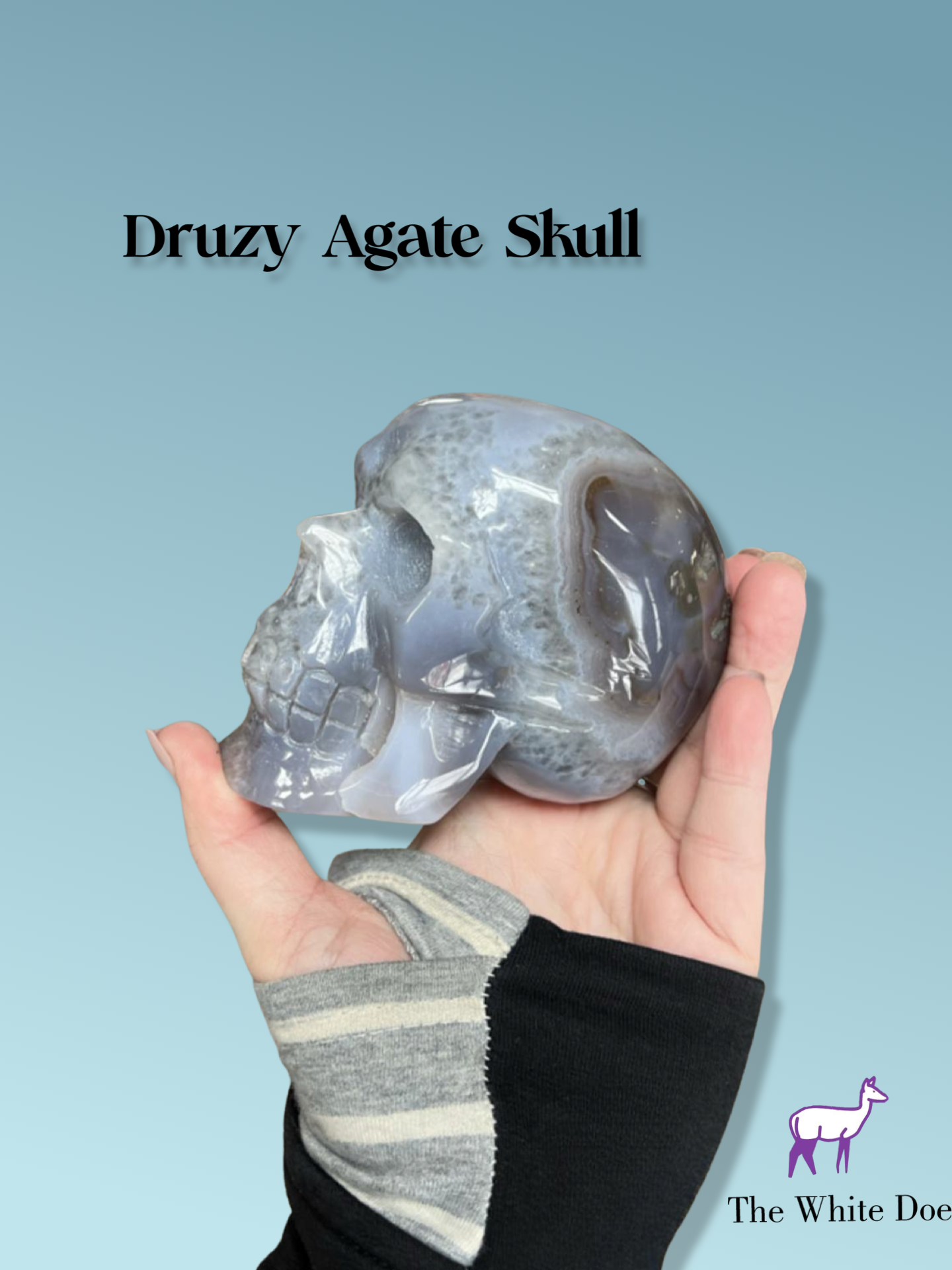 Druzy Agate Skull