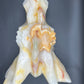 Afghanistan Jade Large Dragon heads